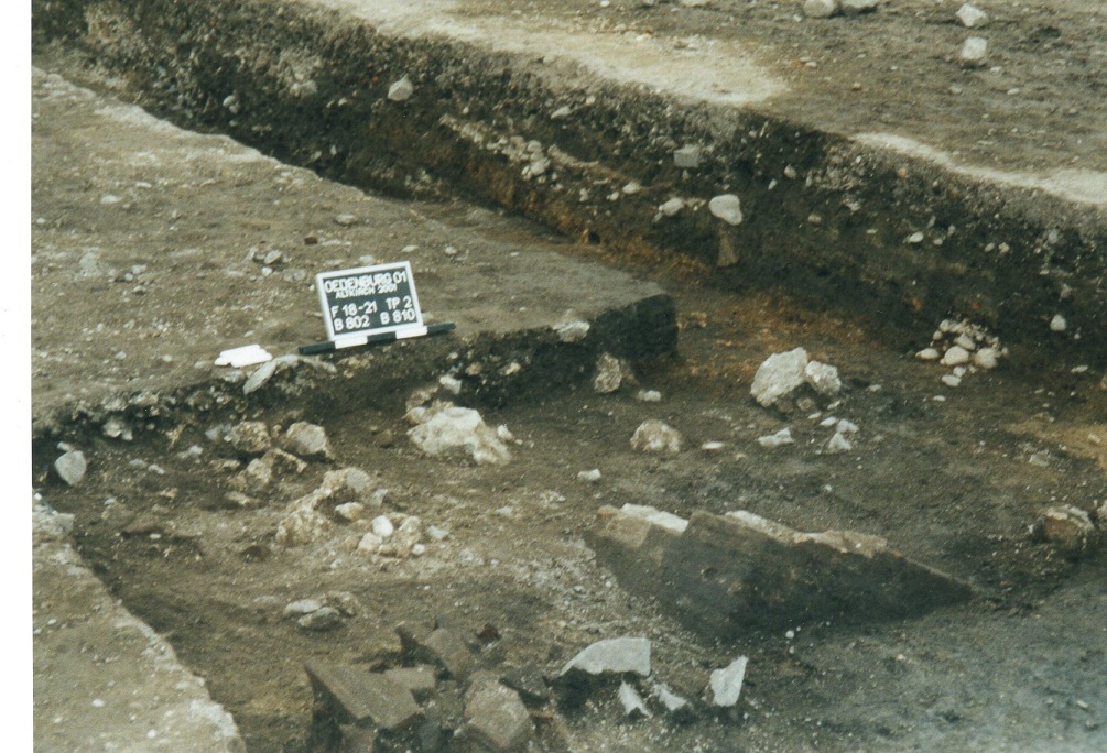 2001-Oed.-F.3-10a.jpg